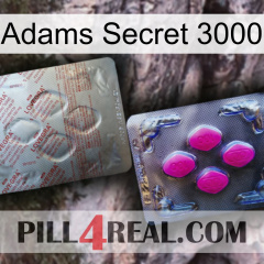 Adams Secret 3000 38